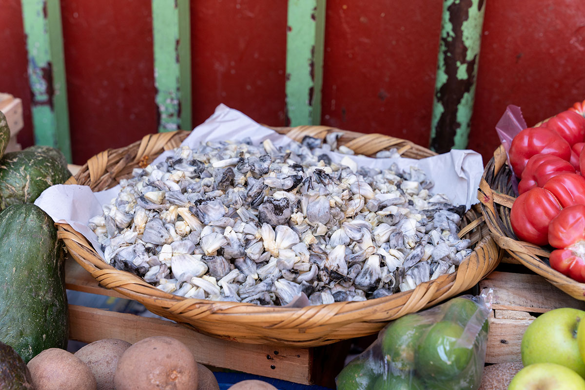 ¿Qué es el Huitlacoche? Un regalo del maíz